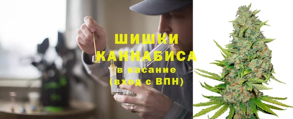 ГАЛЛЮЦИНОГЕННЫЕ ГРИБЫ Алексин