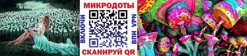 Псилоцибиновые грибы Cubensis Пойковский