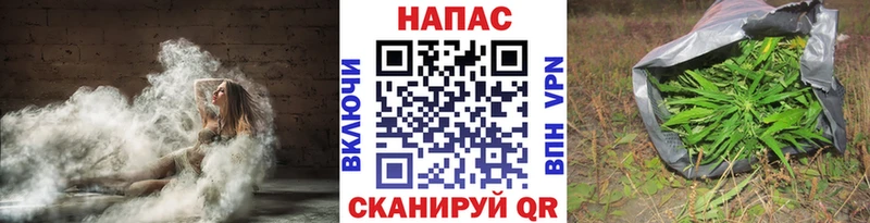 Конопля OG Kush  хочу   Пойковский 